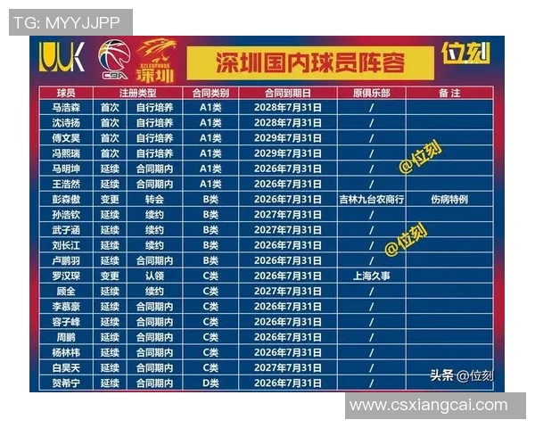 深圳篮球队强势崛起荣登篮球力量排行榜第三名
