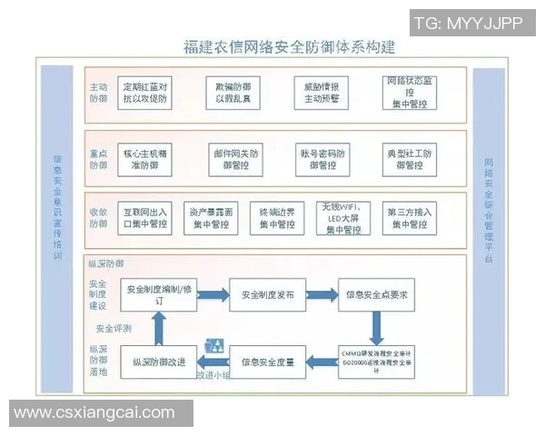 深圳羽毛球队防守体系解析与战术运用研究