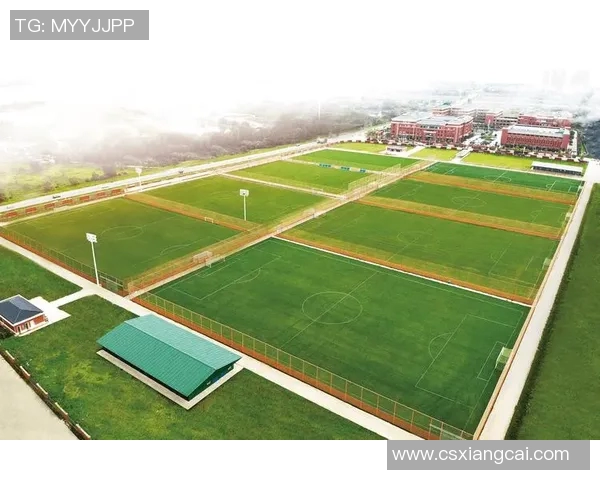 聚焦武汉足球队近期状态分析与未来展望