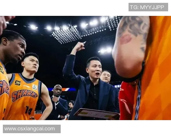 上海篮球队实力大提升引发热议球迷期待新赛季精彩表现
