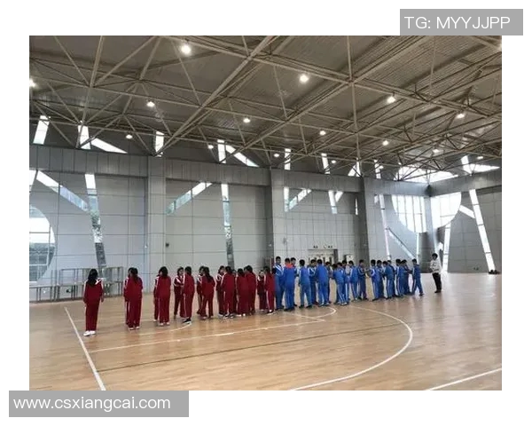 专访刘芳：深入探讨她在篮球领域取得成功的秘诀与经验分享