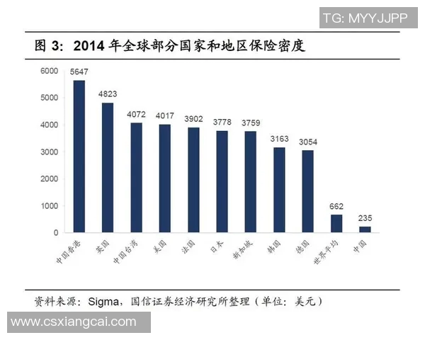 南京排球队灵活性分析与战术创新的深度探讨