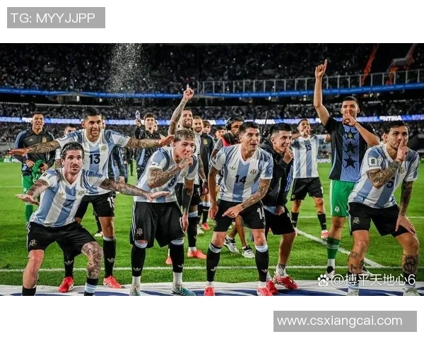 巅峰时期挪威足球明星的辉煌成就与传奇故事探秘