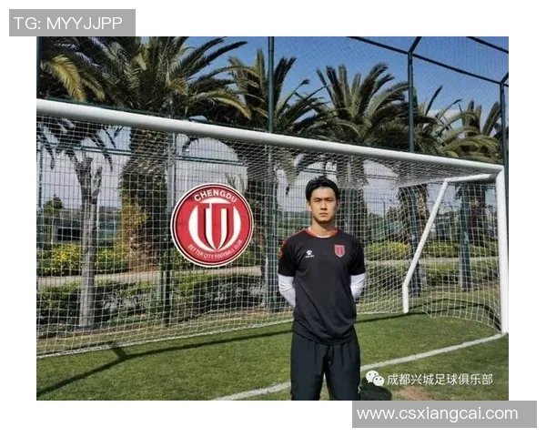 成都羽毛球队整体表现分析：压制对手与失误的双重影响