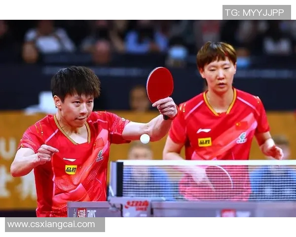 南京乒乓球队在世界杯中的团队协作表现及其对比赛结果的影响分析