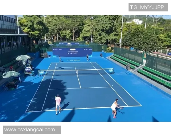 广州网球队运营分析：成功经验与不足之处的深度探讨