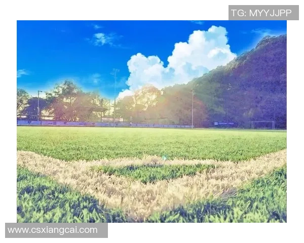 新海诚足球：探索动画与足球的奇妙交融之旅