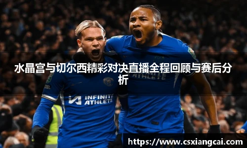 水晶宫与切尔西精彩对决直播全程回顾与赛后分析